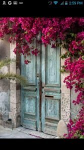 Made In the Shade Antiques and Collectibles