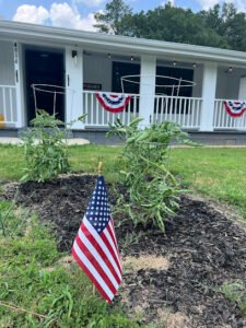 Heirloom antiques and art gallery