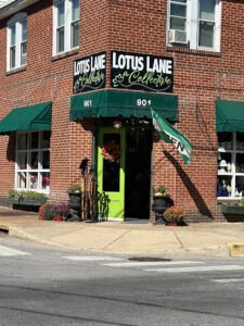 Lotus Lane a Collective