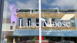 The Lilac Moose