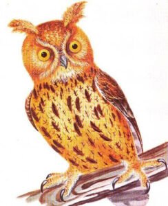 Stonegate Antique Prints