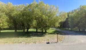 Antlers and Antiques