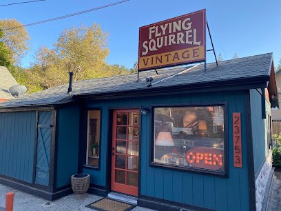 Flying Squirrel Vintage