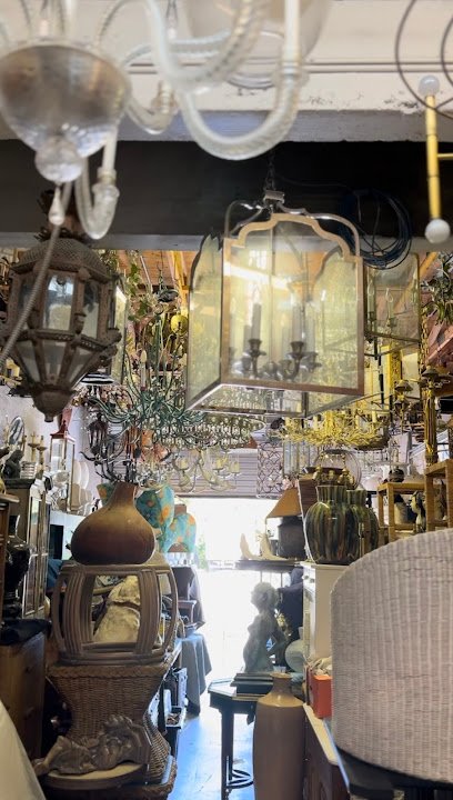 Show Pony Palm Beach