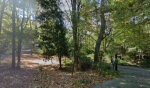 Antique Mall Consultants