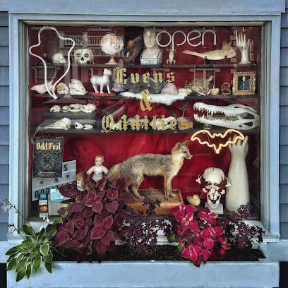 Antique shops in Haverhill