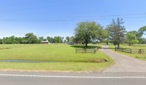 The Primitive Farmhouse