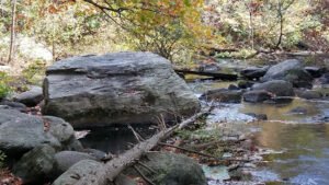 Ellen Ward Scarborough Antique