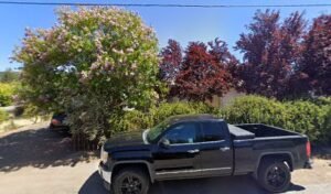 brink’s antique restoration& repair