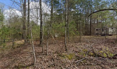 Antique shops in Hensley
