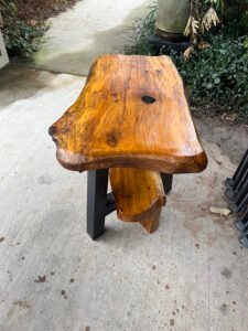 Louisiana’s Lost Resource