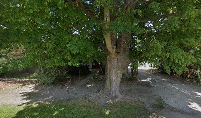 Webb’s Wood Refinishing & Rpr