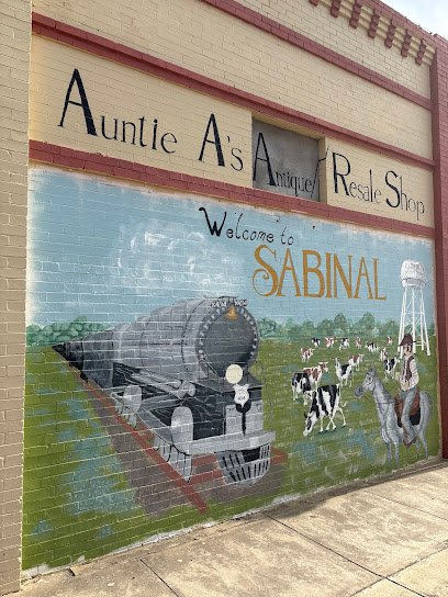 Antique shops in Sabinal