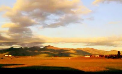 Antique shops in Hollister