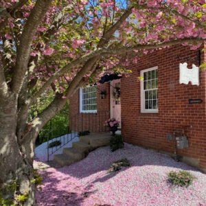 Ye Olde Bleubell Cottage & Garden
