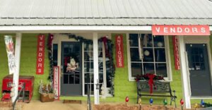 The Vintage Girls & That Guy