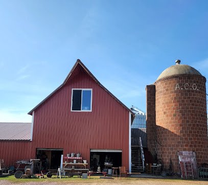Antique shops in St James