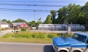 Root 70 Gardens & Antiques