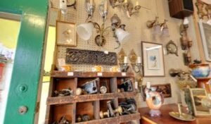 Heide Rivchun’s Conservation